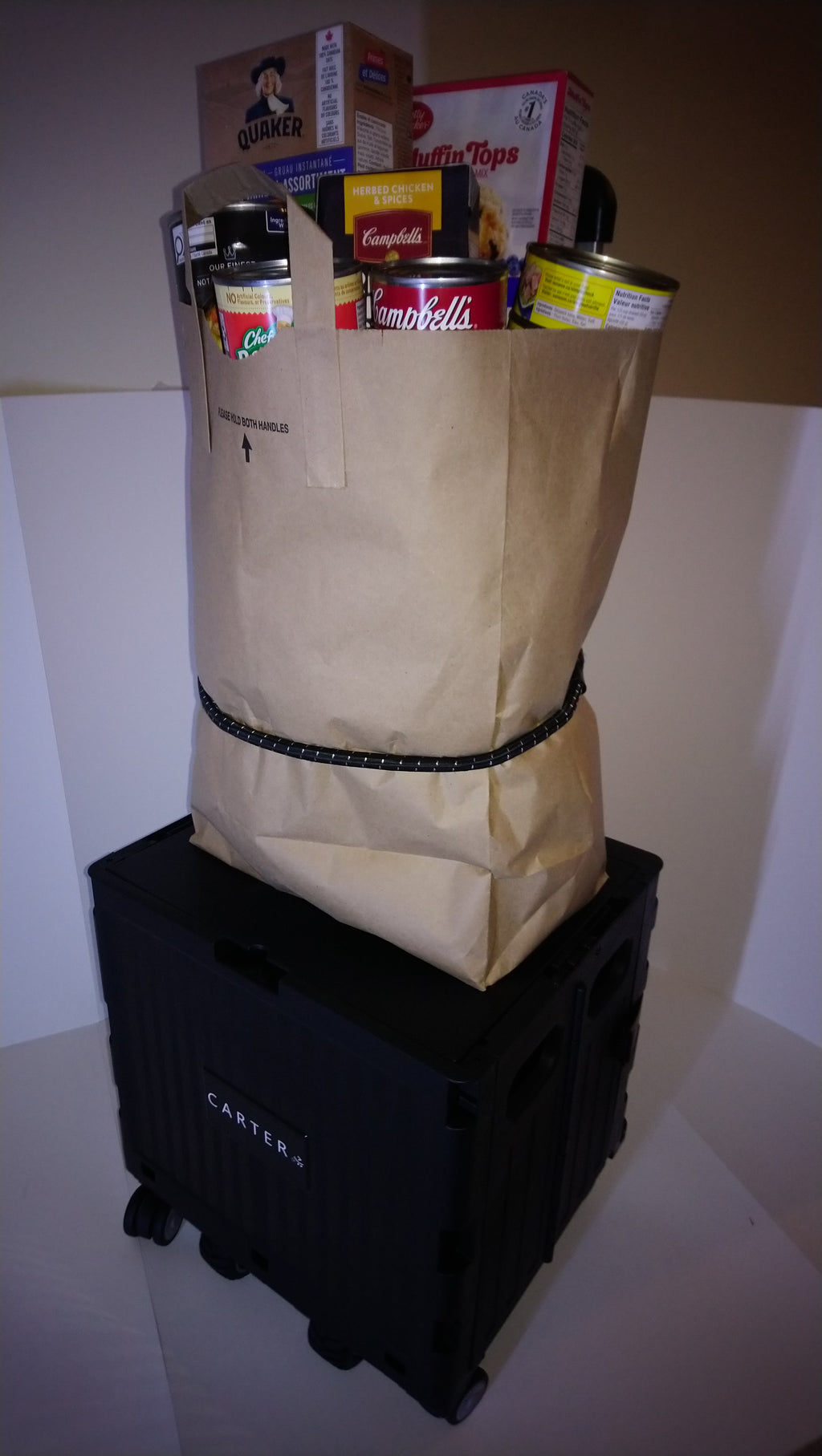 Remote Control Utility Cart