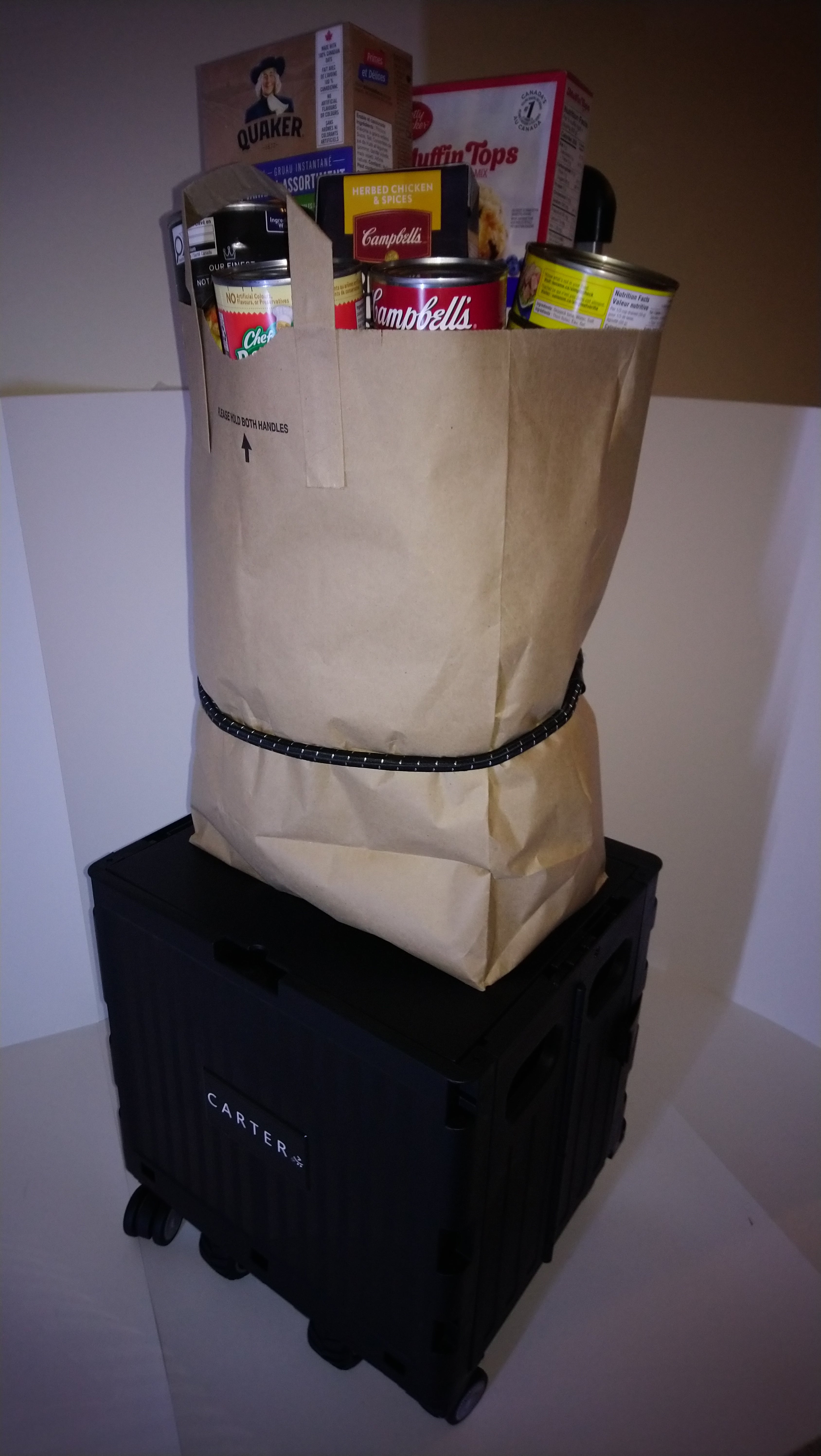 Remote Control Utility Cart