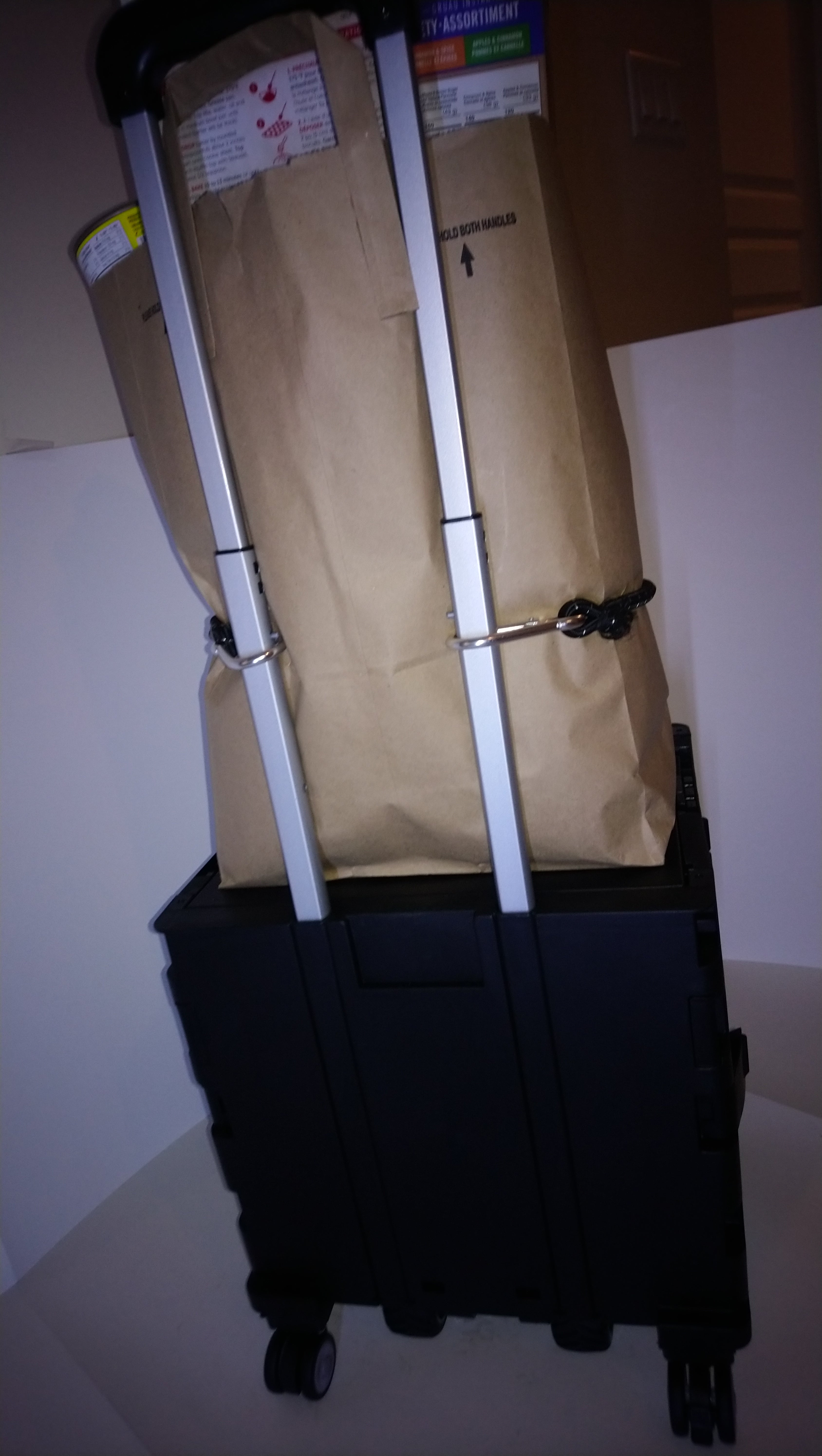 Remote Control Utility Cart